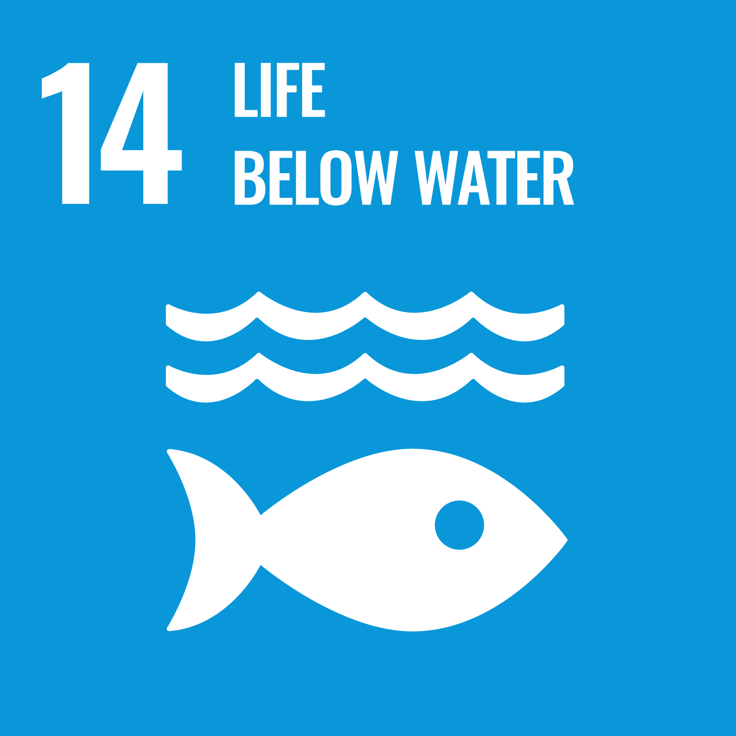 SDG 14 – Life Below Water